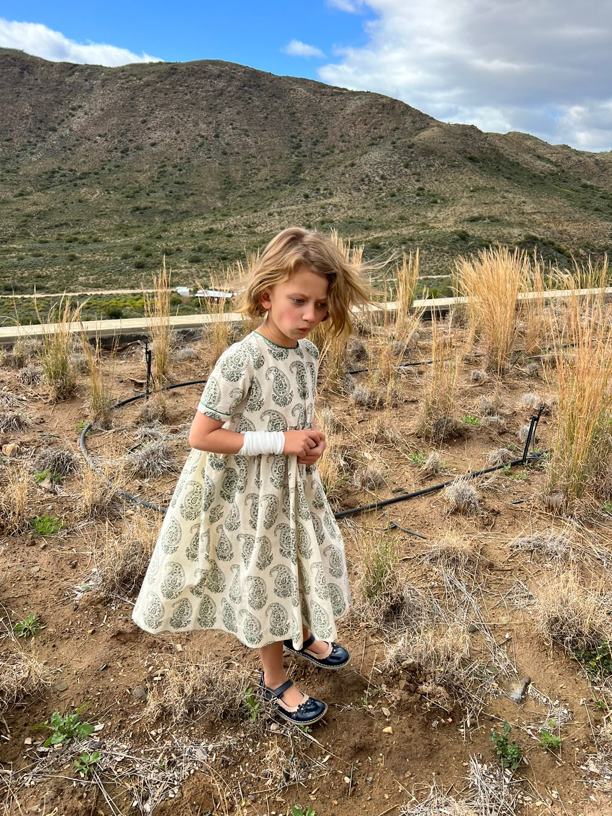 The Franki - Green Paisley